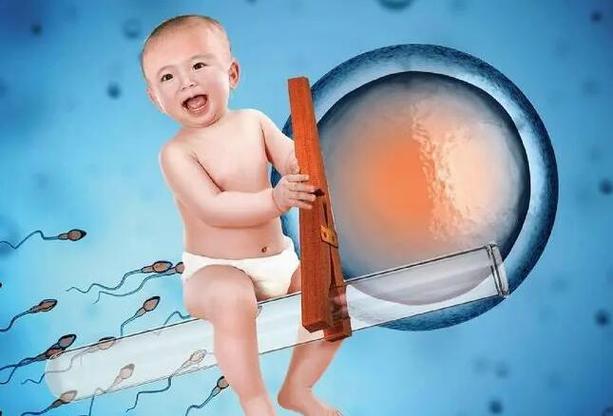 代怀生子什么意思?【代怀生子:探寻其意义】